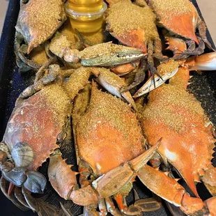 Maryland blue crabs. Medium size.