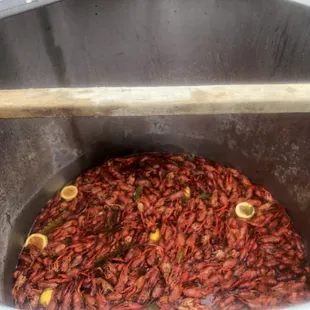 a bucket full of craws