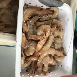 a tray of shrimp
