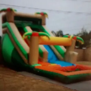 18Ft. Waterslide with pool.