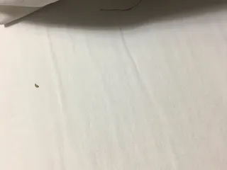 Super 8 Restaurant & Lounge