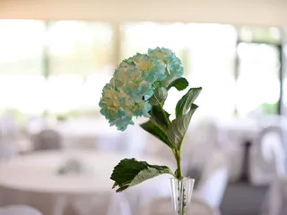 The Flower Shoppe of Louisville