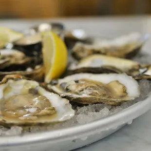 a plate of oysters with lemon wedges
