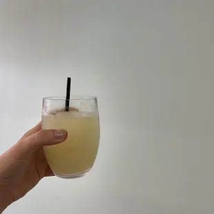 Classic Margarita Mixer