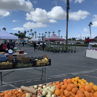 a variety of fruits and vegetables