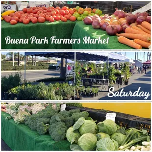 a variety of vegetables