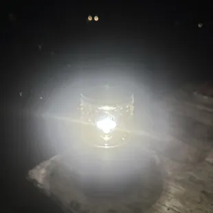 All the bugs on our bug light