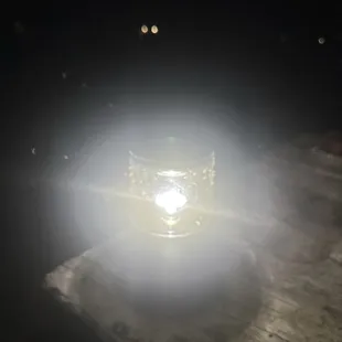 All the bugs on our bug light