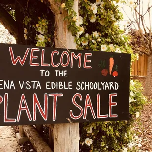 Corner of Panama and Buena Vista