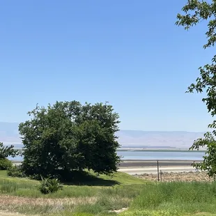 No that's not Lake Buena Vista.  That is from our record winters precipitation.