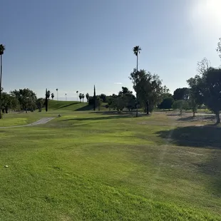 1st fairway! So green!