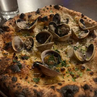 Clam pizza