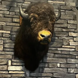 Buffalo head. I thought it was sort of cool.