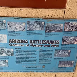 Snakes to know when on the trails