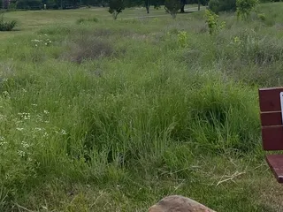 Mesquite Golf Course