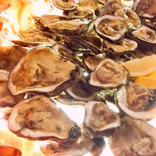 Grilled oysters