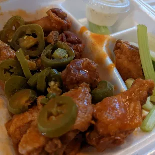 Suicide Wings