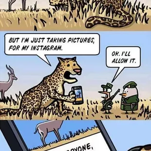 a cheetah and a cheetah on a cell phone