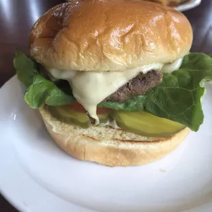 Bison Burger