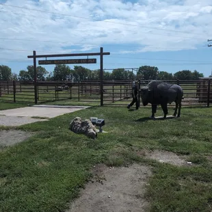 Buffalo Ranch of Woodshed