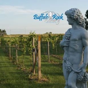 Bacchus in Buffalo Rock Winery's vineyard.