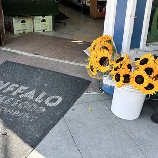 sunflowers in a bucket