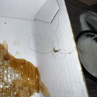 Was enjoying my boneless mango habanero wings, when I had to stop eating and pull this monstrosity out of mouth and chicken.