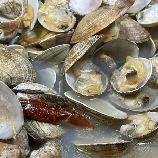 Baby clams