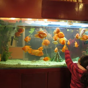 a woman and a child looking at fish in an aquarium