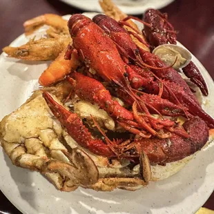 food, oysters and mussels
