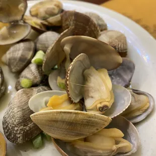 Clams