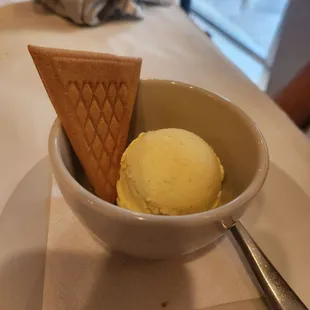 Vanilla Gelato Scoop