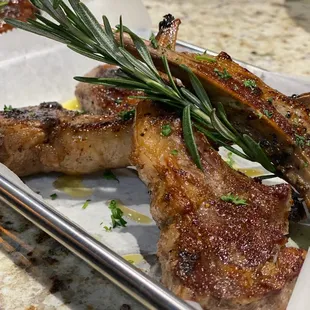 Lamb Chops