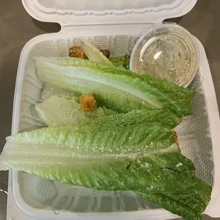 Caesar Salad ($18 for this!)