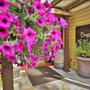 Walk-ins and reservations welcome