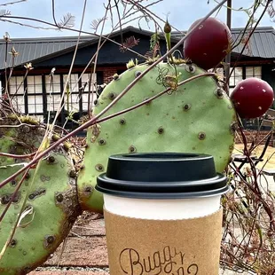 Buggy town coffee the way I see