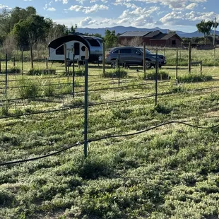 Camping in the vineyard - through Harvest Host