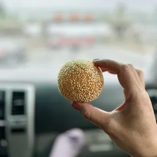 Delicious sesame ball