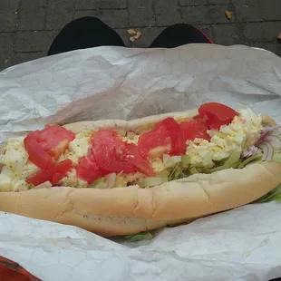 Egg salad hogie!