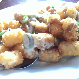 White Trash Poutine