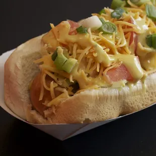Vegetarian Dog Cole Slaw Tomato Green Onions Cheddar Cheese Honey Dijon Mayo