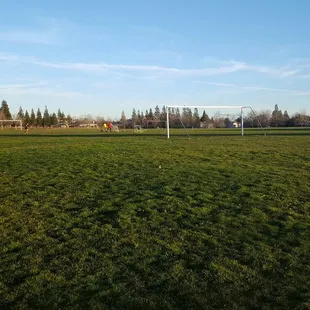 Photo of the park's playing fields.