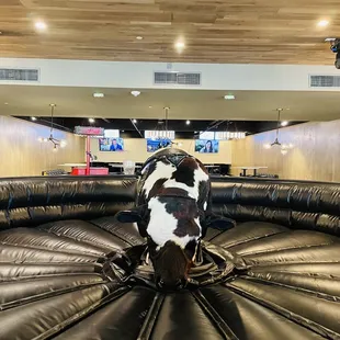 Mechanical Bull ~ Bull &amp; Bowl Austin Texas