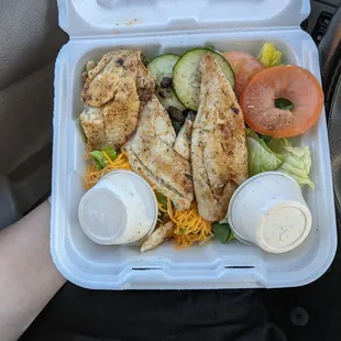Tilapia Salad bull sized