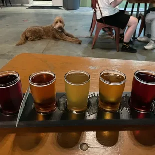 a flight of beers