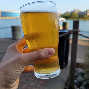 Pineapple Wheat