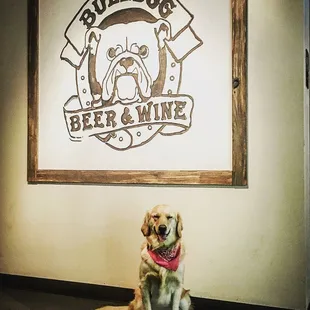 a dog sitting in front of a sign