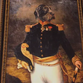 Dawson F.
