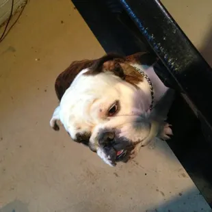 This is Winston.