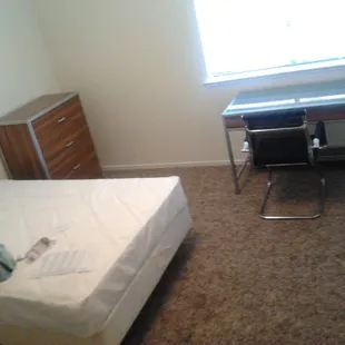 bedroom in 1 bedroom apartment. half of bedroom is cut out from picture and huge walk in closet included.